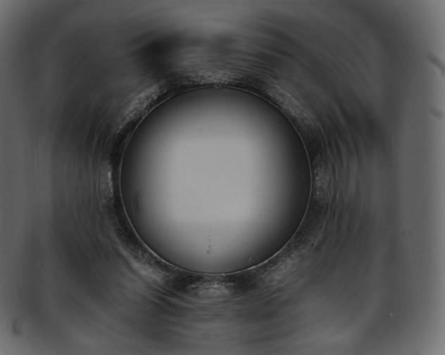 X0000093390254200710191159