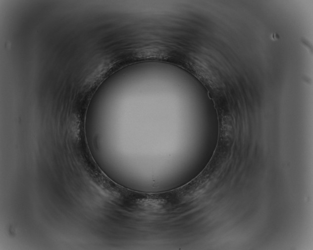 X0000093390255200710191159