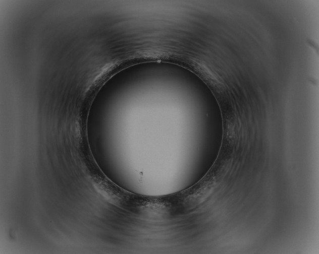 X0000093390256200710191159