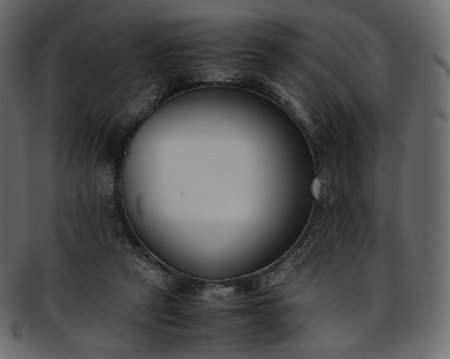 X0000093390257200710191159