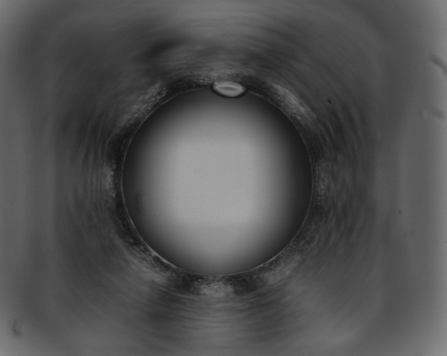 X0000093390258200710191159