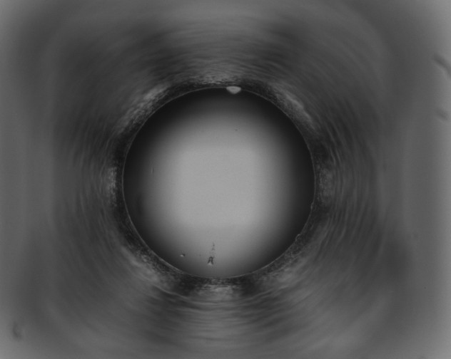 X0000093390260200710191159