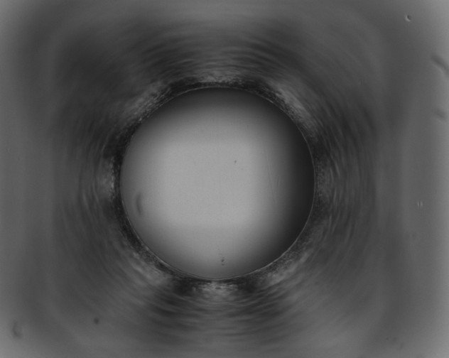 X0000093390261200710191159