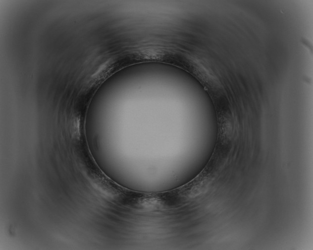 X0000093390262200710191159