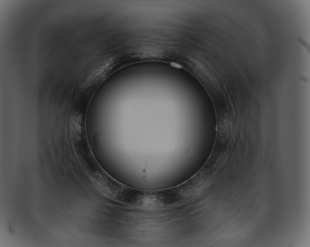 X0000093390264200710191159