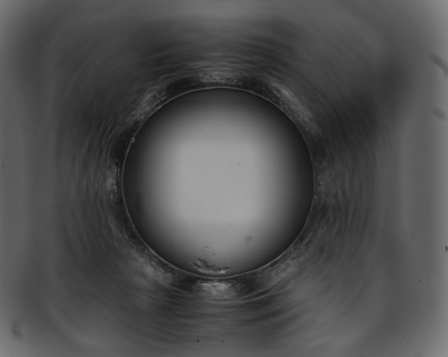 X0000093390265200710191159