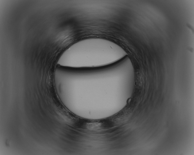 X0000093390266200710191159