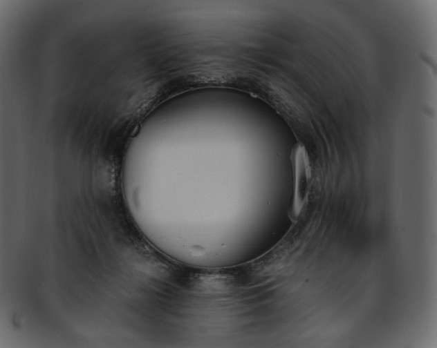 X0000093390268200710191159