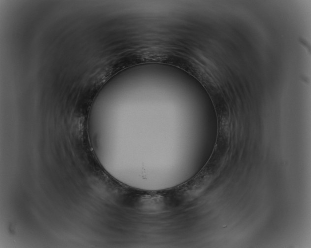 X0000093390271200710191159