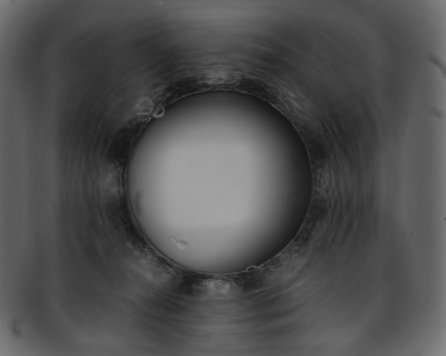 X0000093390272200710191159