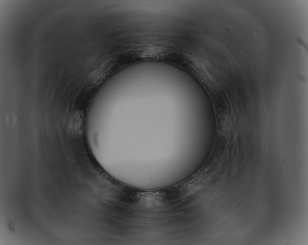 X0000093390273200710191159