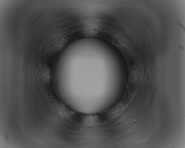 X0000093390274200710191159