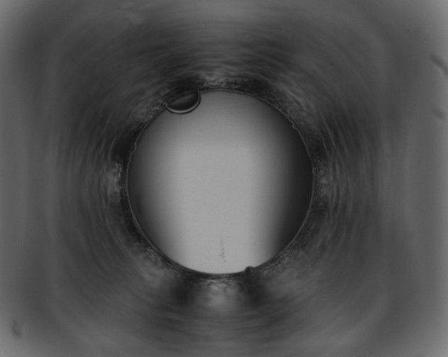 X0000093390275200710191159