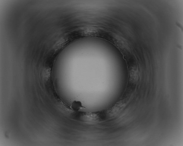 X0000093390278200710191159