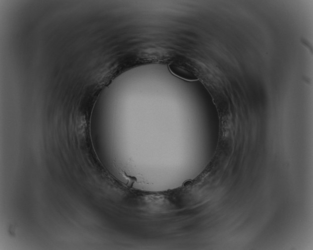 X0000093390279200710191159