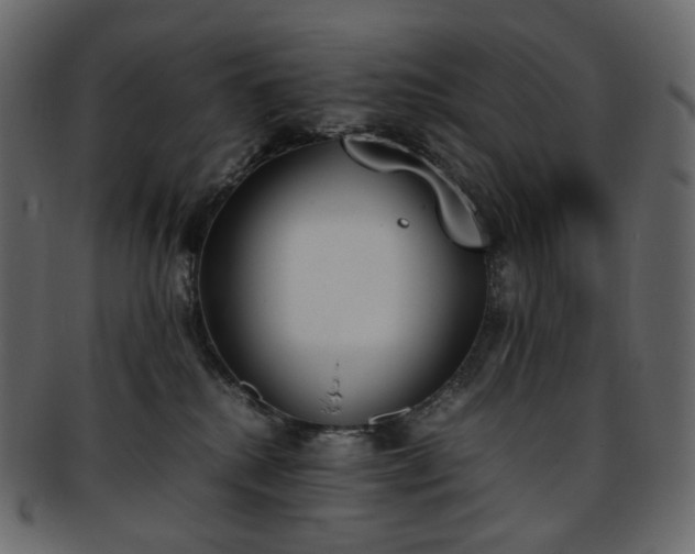 X0000093390280200710191159