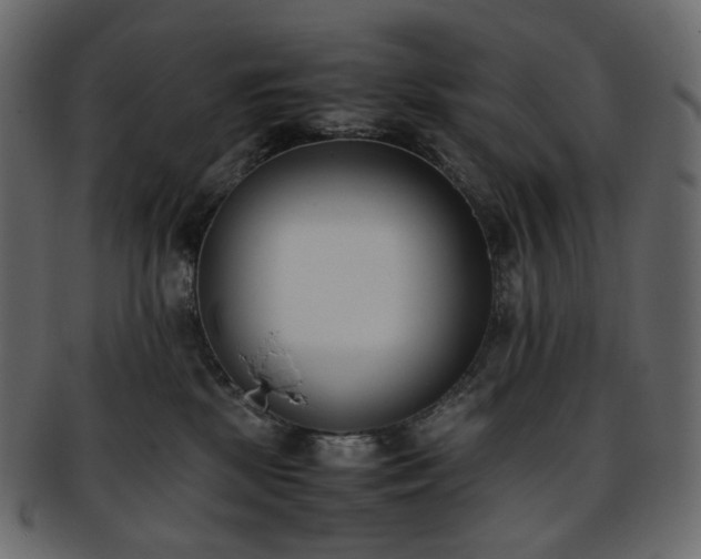 X0000093390281200710191159