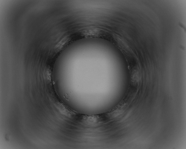 X0000093390282200710191200