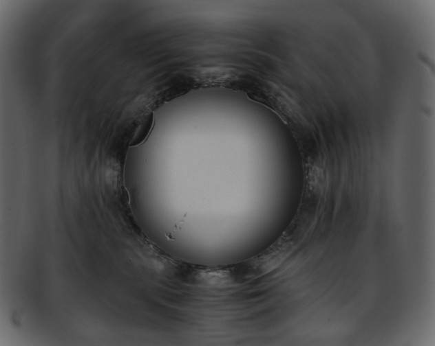 X0000093390283200710191200