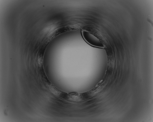 X0000093390285200710191200