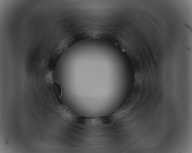 X0000093390286200710191200