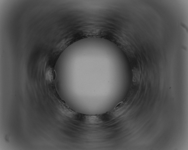 X0000093390287200710191200