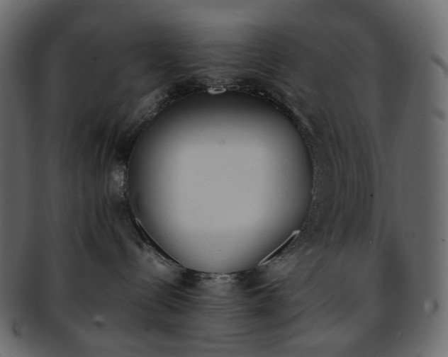 X0000093390288200710191200