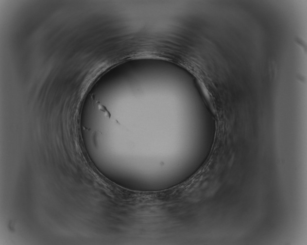 X0000093390289200710191159