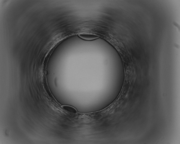 X0000093390290200710191159