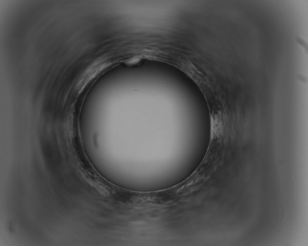 X0000093390291200710191159