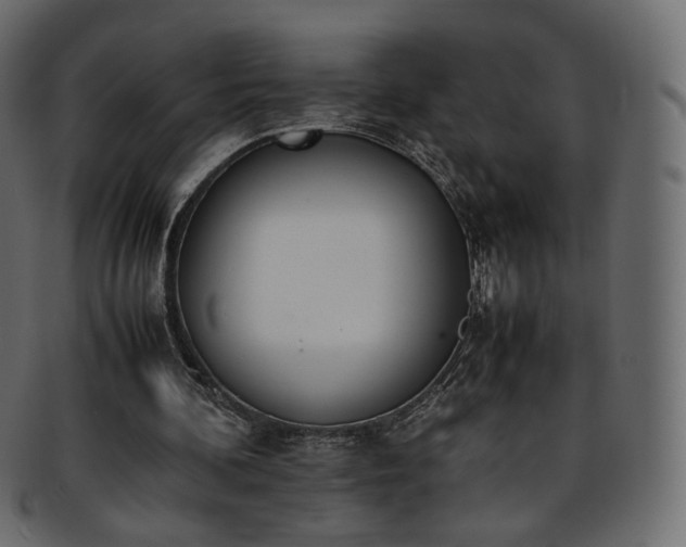 X0000093390292200710191159