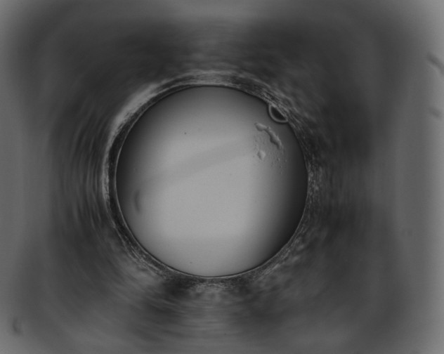 X0000093390294200710191159