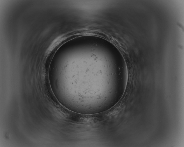 X0000093390295200710191159