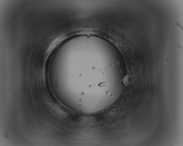 X0000093390296200710191159