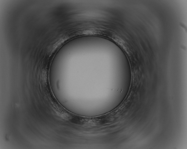 X0000093390297200710191159