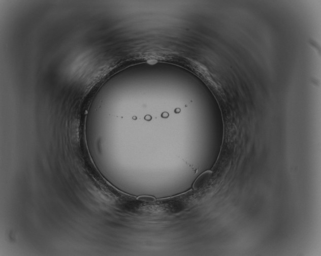 X0000093390299200710191159