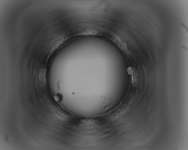 X0000093390300200710191159