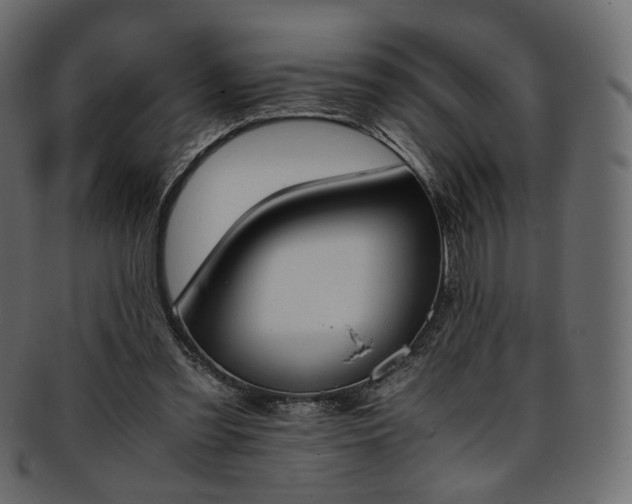 X0000093390301200710191159