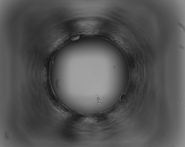 X0000093390303200710191159