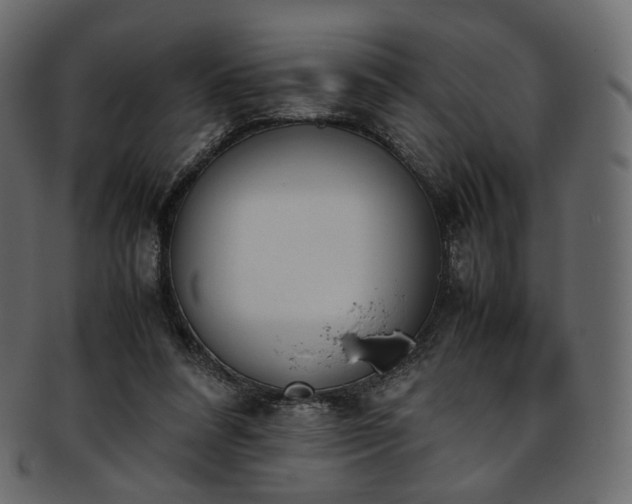 X0000093390304200710191159