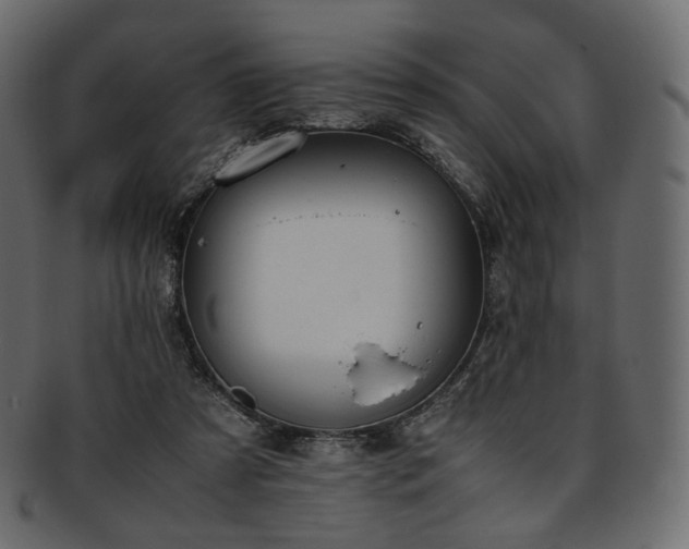 X0000093390305200710191159