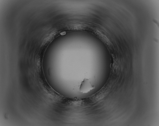 X0000093390306200710191159