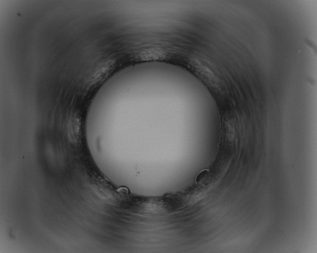 X0000093390308200710191159