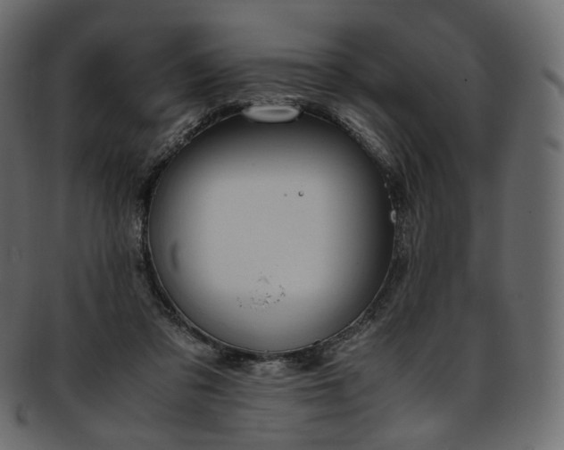 X0000093390309200710191159