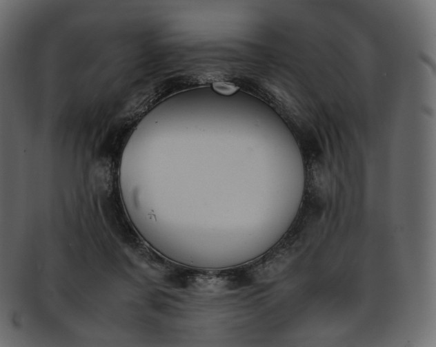 X0000093390311200710191159