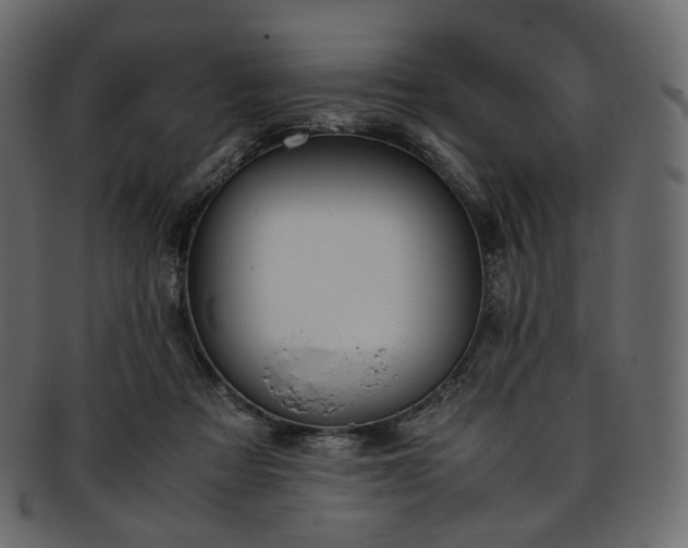 X0000093390313200710191159