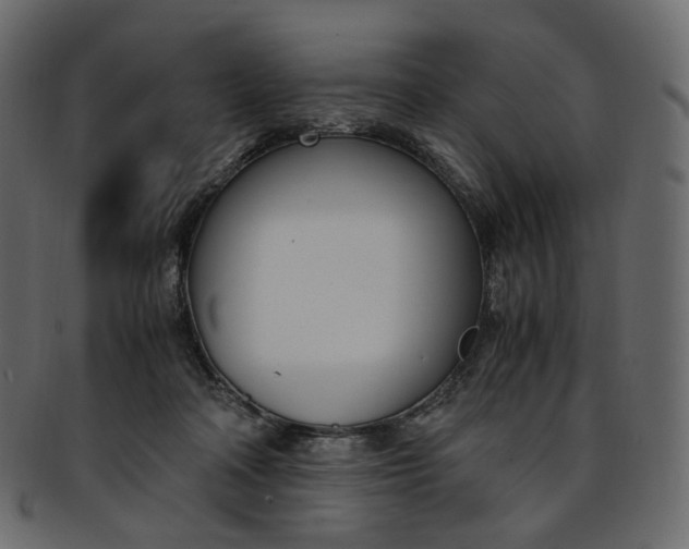 X0000093390314200710191159