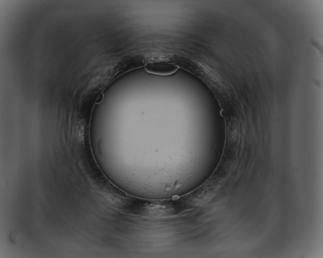 X0000093390315200710191159