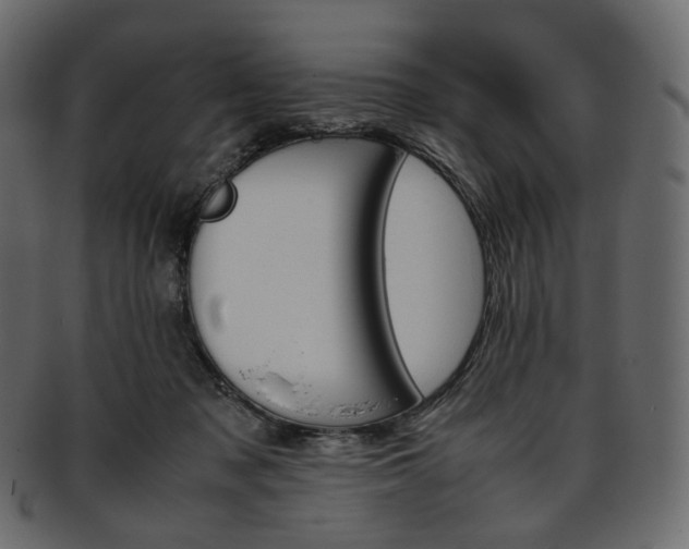 X0000093390317200710191159