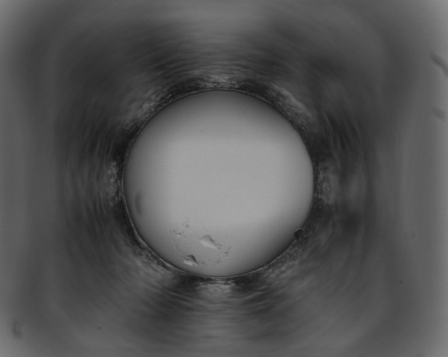 X0000093390318200710191159